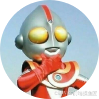 YOLOv11 视频处理脚本：编写一个 